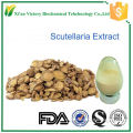 ISO manufacture sales radix scutellaria extract powder